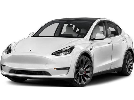TESLA MODEL Y 2023 7SAYGAEE3PF829197 image
